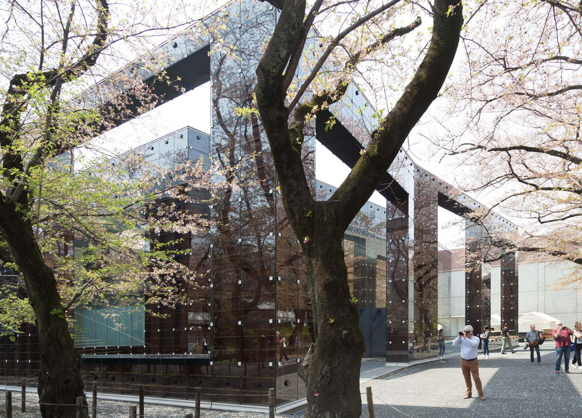 As mais belas bibliotecas do mundo