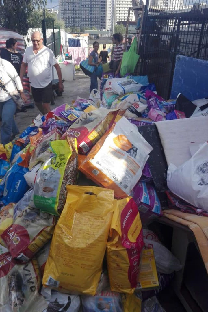 Depois de apelo, União Zoófila partilha "extraordinários gestos de apoio"