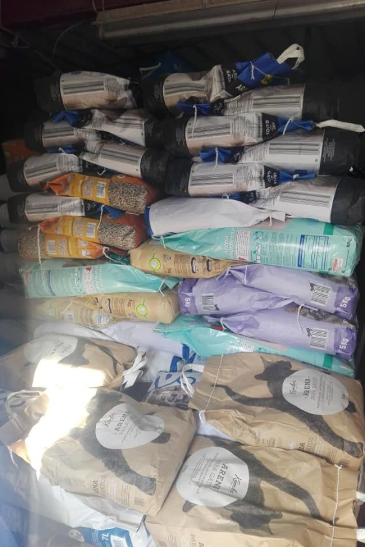 Depois de apelo, União Zoófila partilha "extraordinários gestos de apoio"