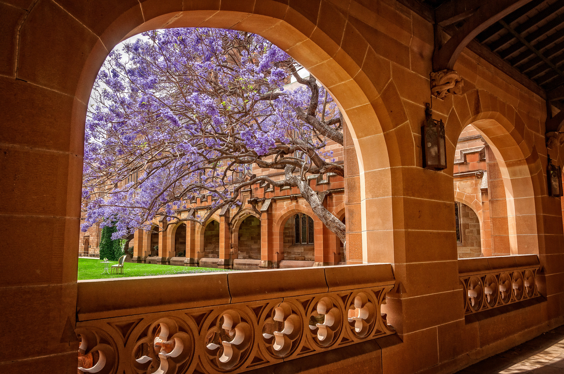 Deslumbre-se com as mais belas universidades do mundo