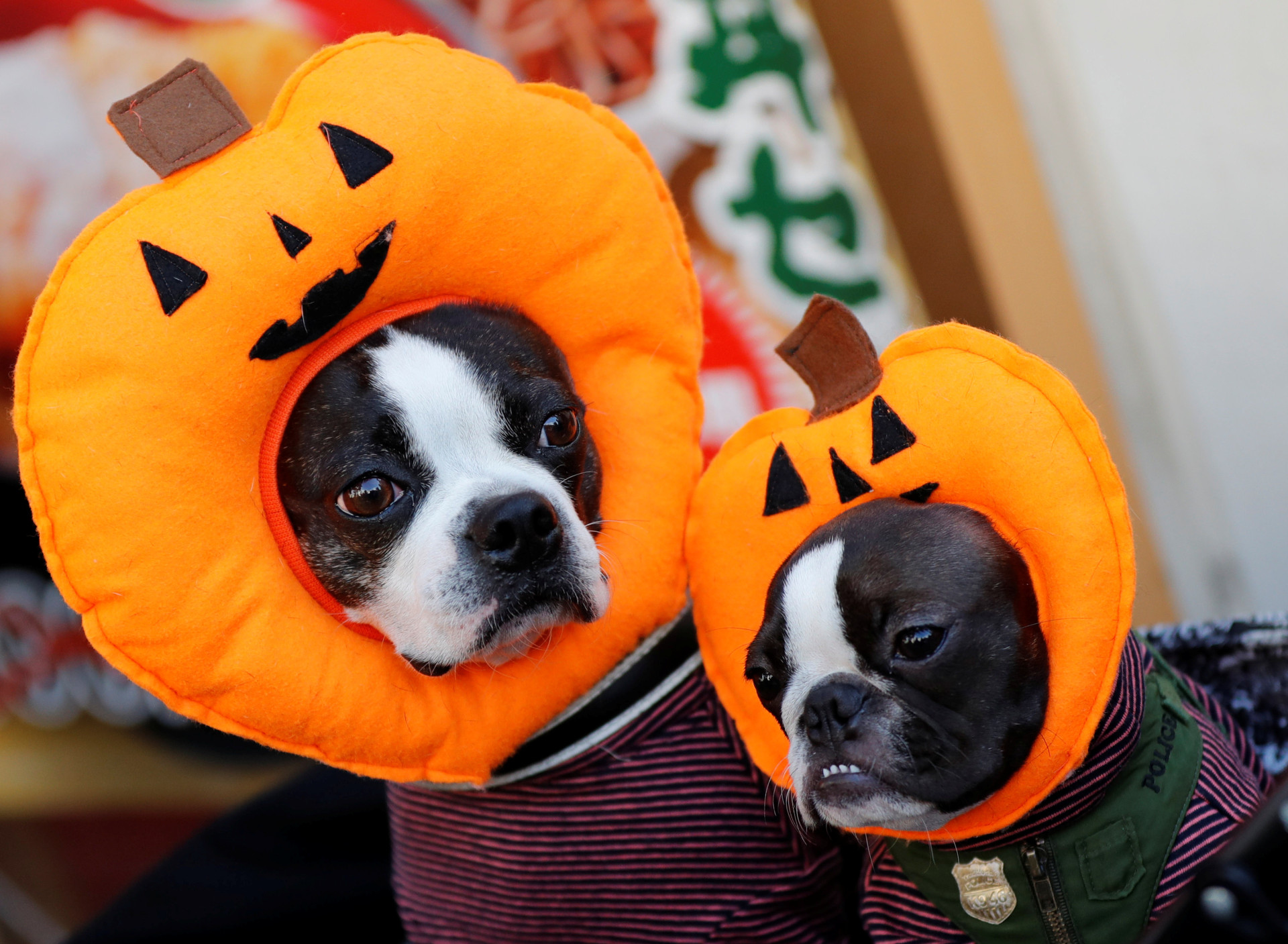 Volta ao mundo: As 'assustadoras' celebrações do Halloween