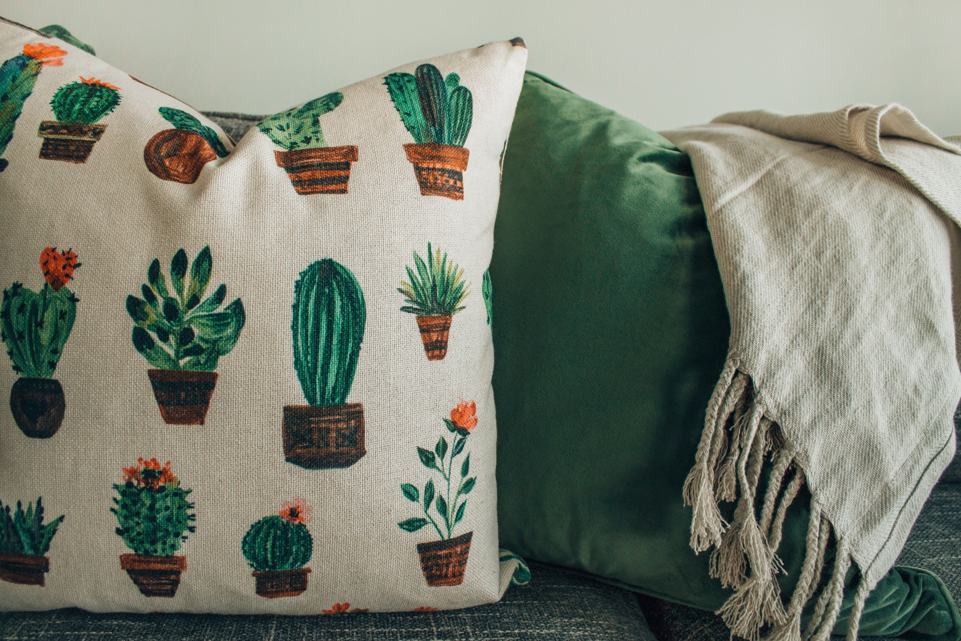 Quer decorar a casa? Estas cores serão a tendência em 2019