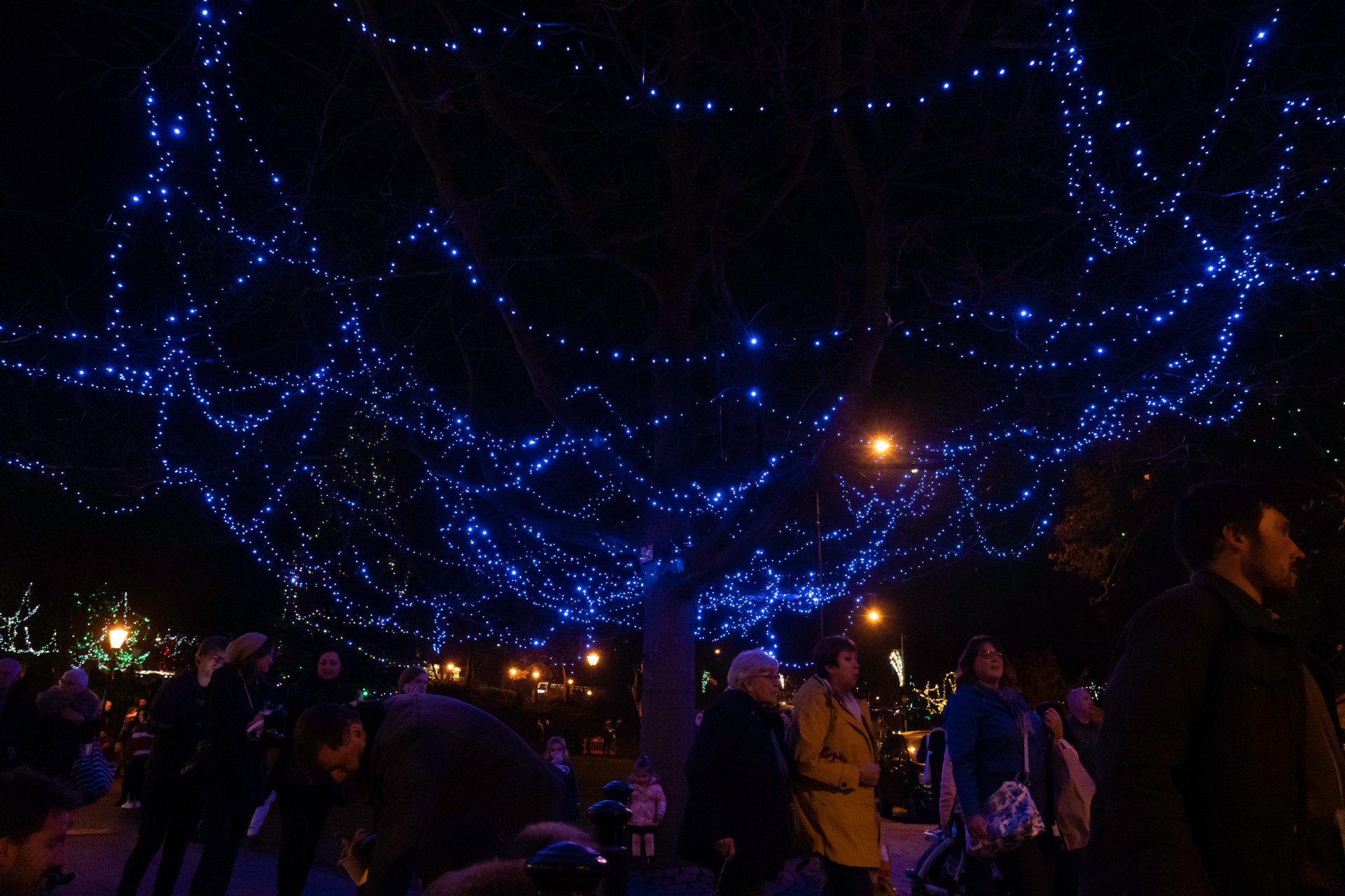 Descubra e deslumbre-se com os mais brilhantes festivais de luz na Europa