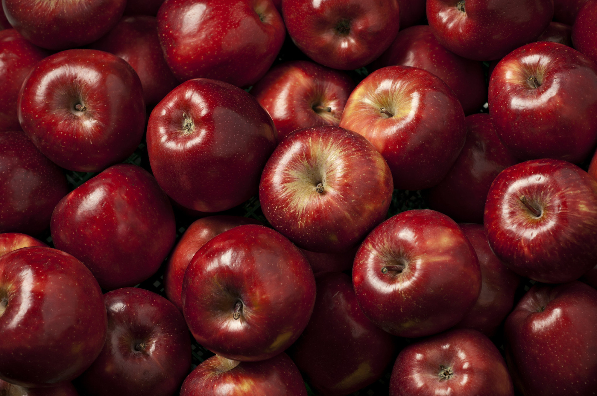 O peso dos alimentos na pegada ecológica