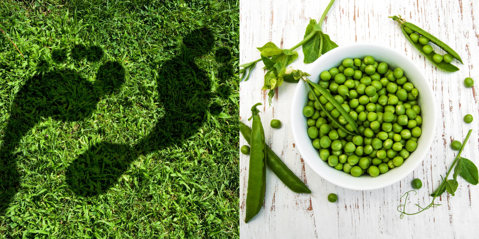 O peso dos alimentos na pegada ecológica