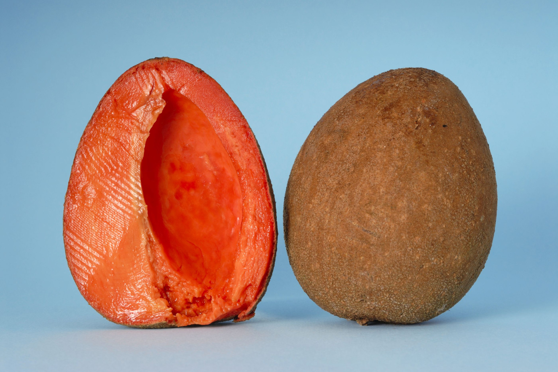 Seis frutas que ajudam a tratar as infeções urinárias