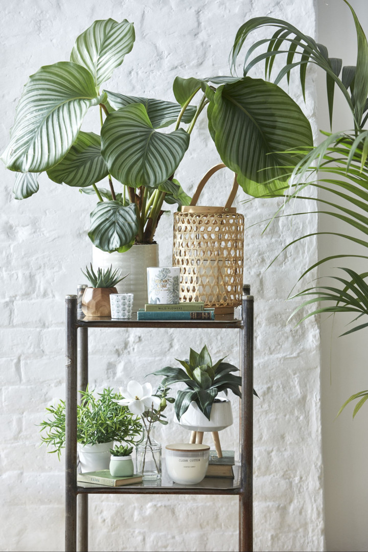 Primark Home lança coleção em honra da natureza e de espírito tropical