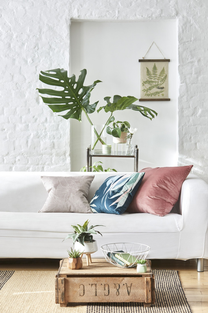 Primark Home lança coleção em honra da natureza e de espírito tropical