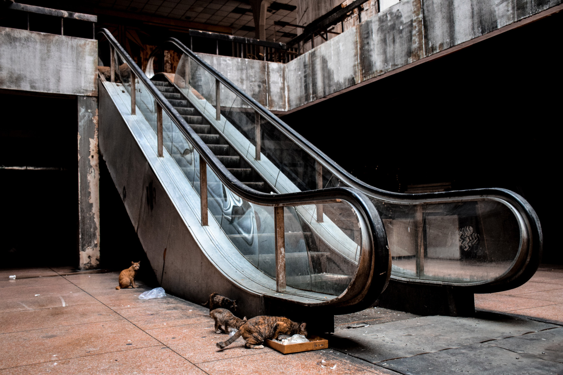 É capaz de visitar estes centros comerciais abandonados?